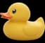 Rubber Ducky